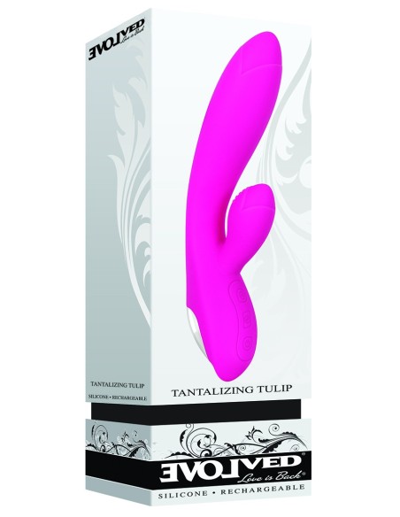 TULIPÁN ROSA EVOLUCIONADO TENTADORA