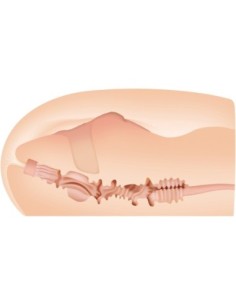 TOLERANCIA CERO SASHA GRIS STROKER CARNE 2