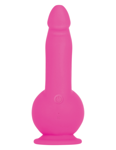 ROSA BALÍSTICO EVOLUCIONADO