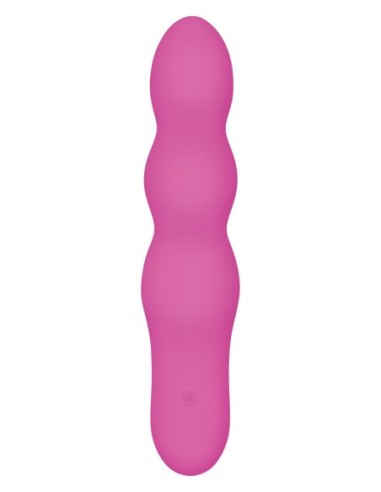 ROSA RESPLANDOR EVOLUCIONADO