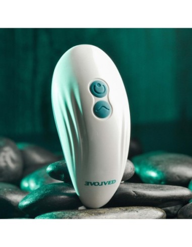 PLACER DE PALMA EVOLUCIONADO