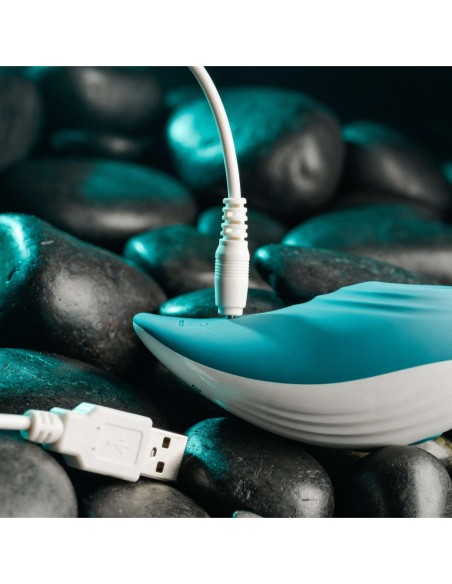 PLACER DE PALMA EVOLUCIONADO