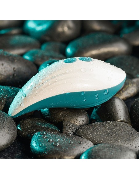 PLACER DE PALMA EVOLUCIONADO