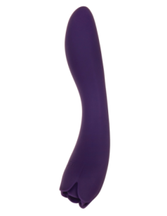 ROSA ESPINOSA EVOLUCIONADA 2