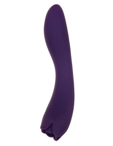 ROSA ESPINOSA EVOLUCIONADA