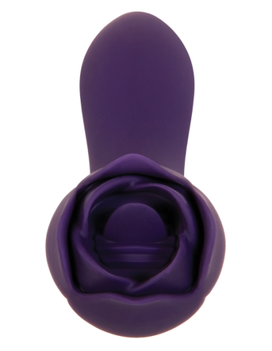 ROSA ESPINOSA EVOLUCIONADA