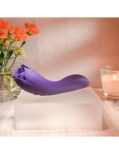 ROSA ESPINOSA EVOLUCIONADA