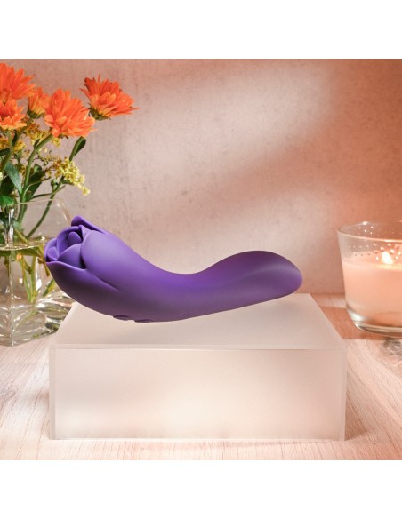 ROSA ESPINOSA EVOLUCIONADA