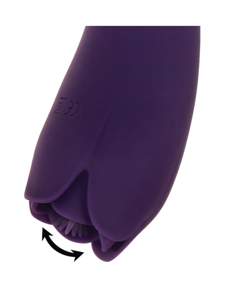 ROSA ESPINOSA EVOLUCIONADA