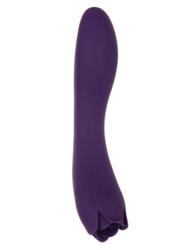 ROSA ESPINOSA EVOLUCIONADA