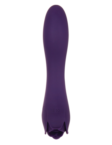 ROSA ESPINOSA EVOLUCIONADA