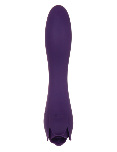 ROSA ESPINOSA EVOLUCIONADA