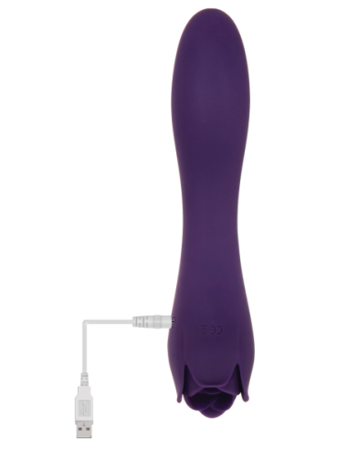 ROSA ESPINOSA EVOLUCIONADA