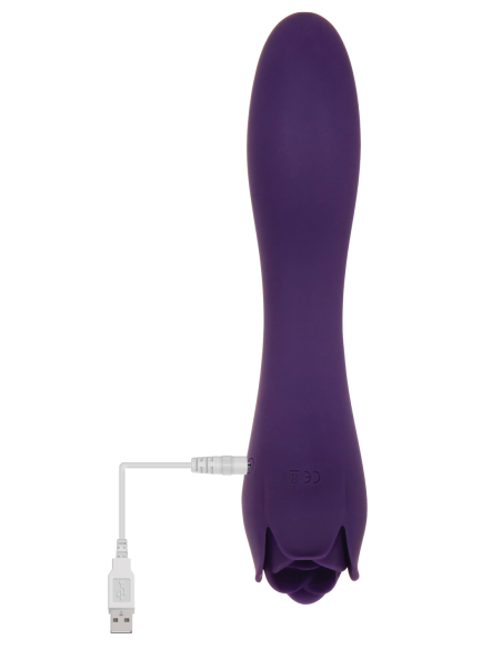 ROSA ESPINOSA EVOLUCIONADA