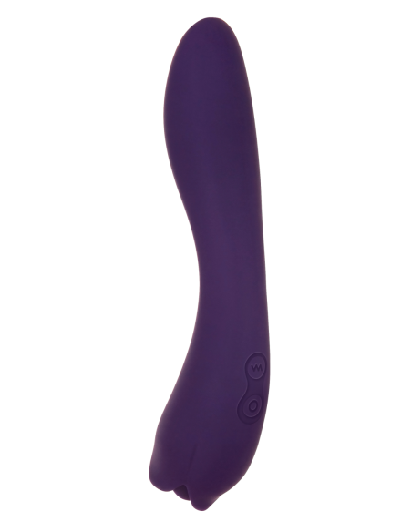 ROSA ESPINOSA EVOLUCIONADA