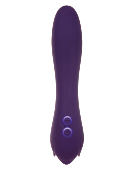 ROSA ESPINOSA EVOLUCIONADA