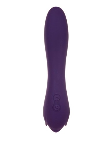 ROSA ESPINOSA EVOLUCIONADA