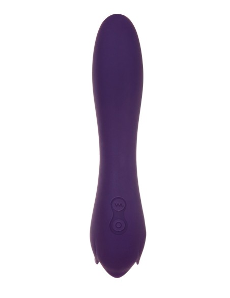 ROSA ESPINOSA EVOLUCIONADA