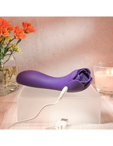 ROSA ESPINOSA EVOLUCIONADA