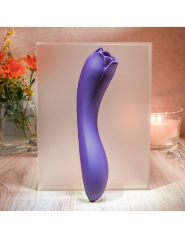 ROSA ESPINOSA EVOLUCIONADA