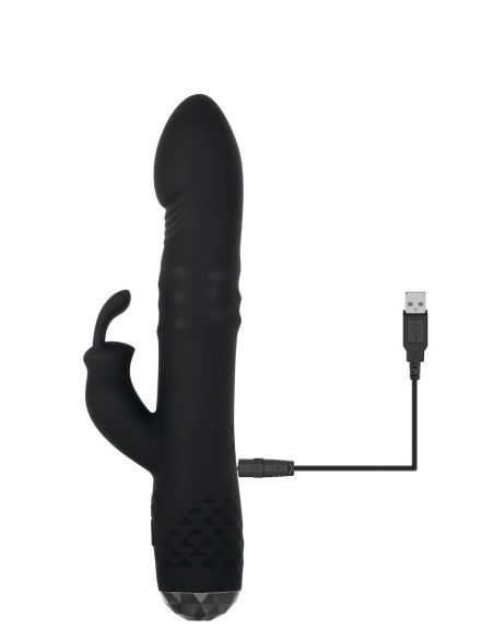 CONEJITO BODACIOSO EVOLUCIONADO