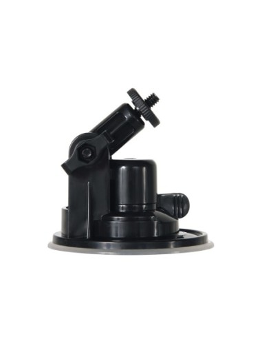 MENSAJE DE GÉNERO X EN UNA BOTELLA