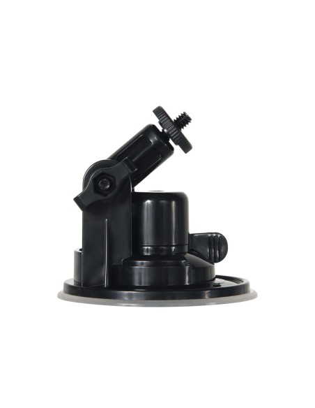 MENSAJE DE GÉNERO X EN UNA BOTELLA