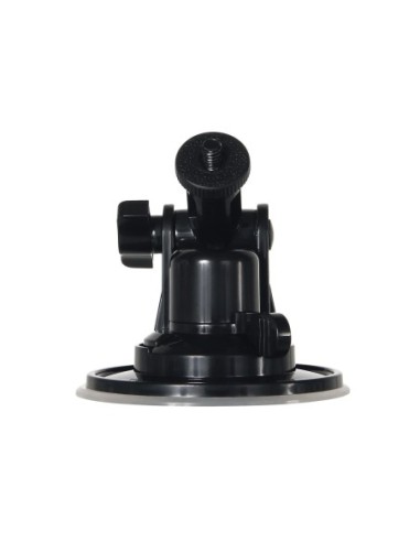 MENSAJE DE GÉNERO X EN UNA BOTELLA