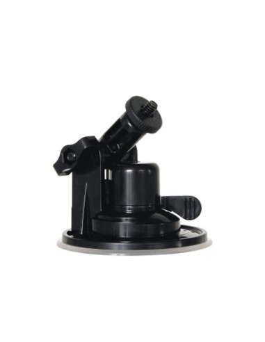 MENSAJE DE GÉNERO X EN UNA BOTELLA