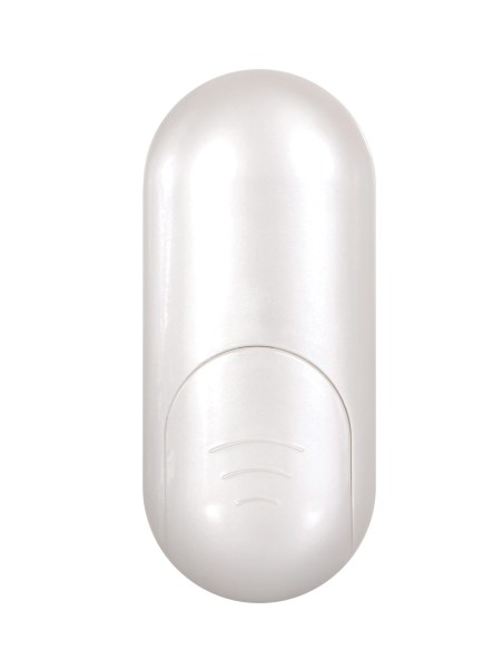 CONCHA MARINA SIN TIRAS GENDER X