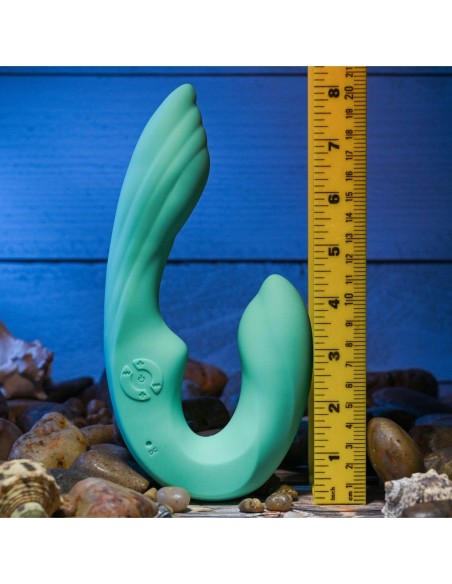 CONCHA MARINA SIN TIRAS GENDER X