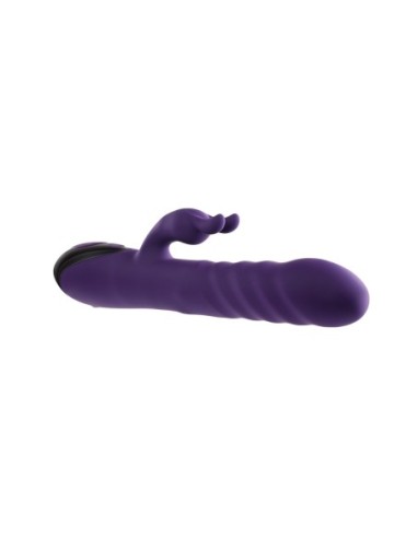 CONEJO PIBÓN EVOLUCIONADO