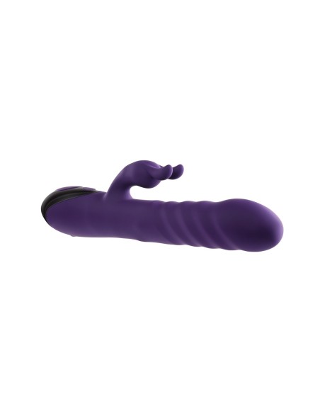 CONEJO PIBÓN EVOLUCIONADO