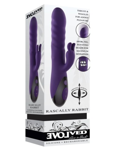 CONEJO PIBÓN EVOLUCIONADO