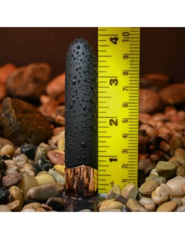 GÉNERO X EL ESTÁNDAR DE ORO