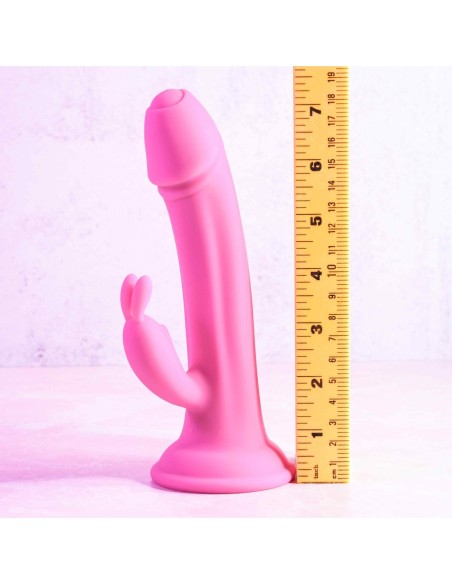 EVOLUCIONÓ A UN CONEJITO HACIA EL AMOR