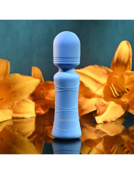 EVOLUCIONADO DE LA AZUL