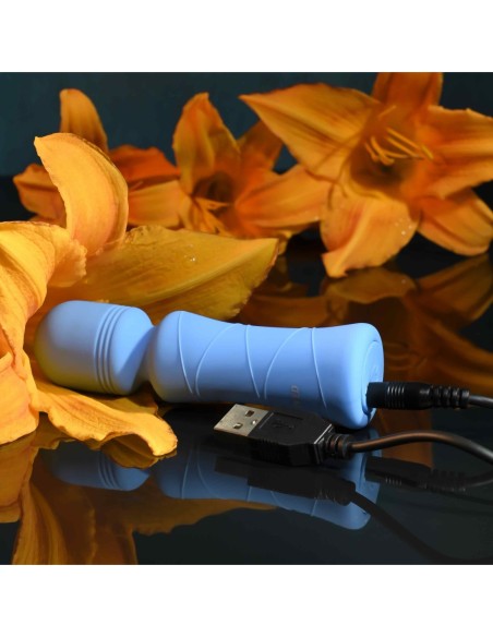 EVOLUCIONADO DE LA AZUL