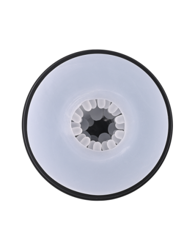 PLAYBOY EN BÚSQUEDA DEL PLACER