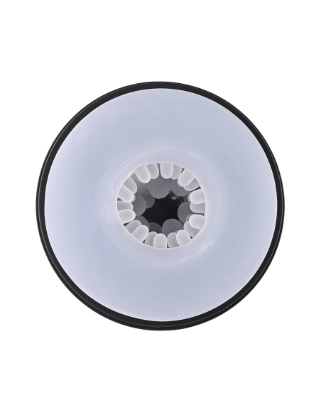 PLAYBOY EN BÚSQUEDA DEL PLACER