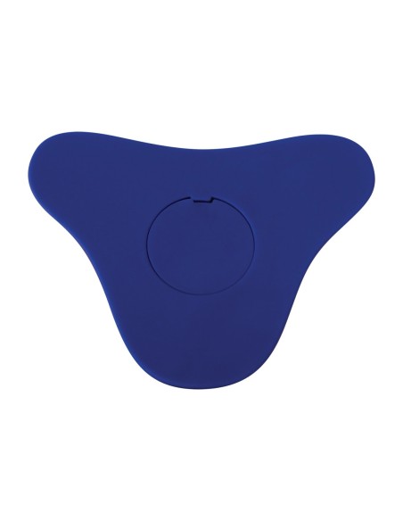 SUEÑO AZUL EVOLUCIONADO