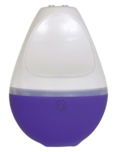 PEQUEÑA BAILARINA EVOLUCIONADA 2