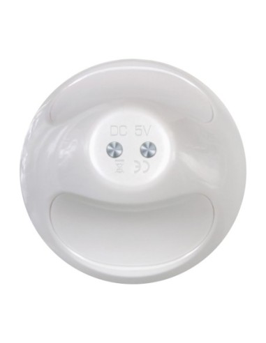 PEQUEÑA BAILARINA EVOLUCIONADA