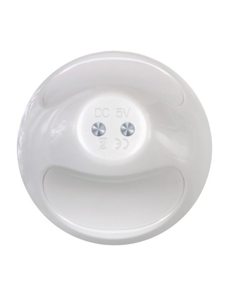 PEQUEÑA BAILARINA EVOLUCIONADA