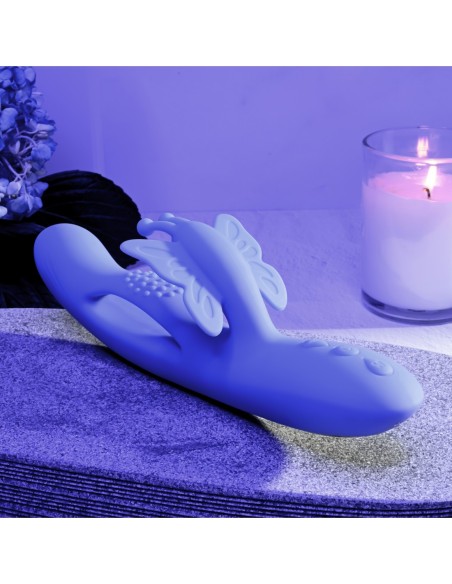 SUEÑOS DE MARIPOSA EVOLUCIONADOS