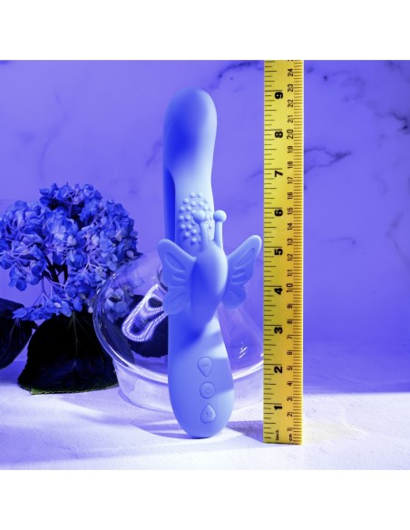 SUEÑOS DE MARIPOSA EVOLUCIONADOS