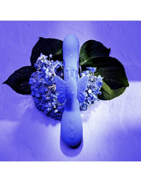 SUEÑOS DE MARIPOSA EVOLUCIONADOS