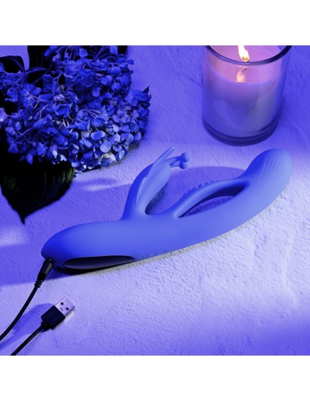 SUEÑOS DE MARIPOSA EVOLUCIONADOS