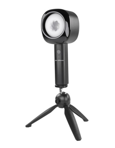 TOLERANCIA CERO, DEJARLO PASAR