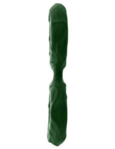 EJE DOBLE C-RING GRANDE VERDE